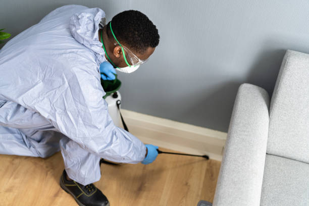 Best Residential Pest Control  in Laughlin Af, TX